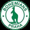 Bohemians1905 B