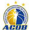 Basket Joacaba