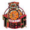 Melbourne Tigers