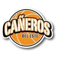 Leones de Santo Domingo