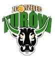 Tarnowskie Gory