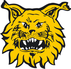 Inter Turku